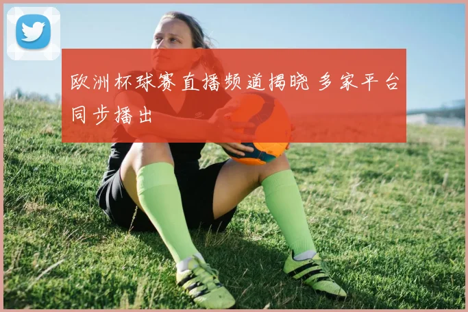 欧洲杯球赛直播频道揭晓 多家平台同步播出