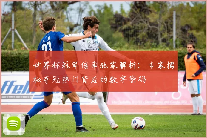 世界杯冠军倍率独家解析：专家揭秘夺冠热门背后的数字密码