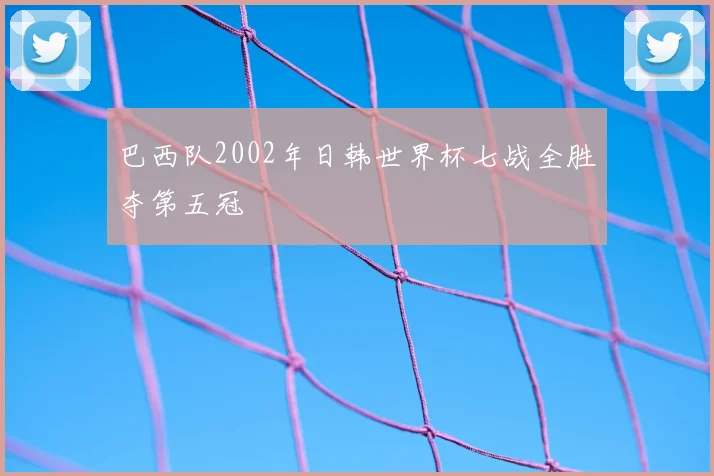 巴西队2002年日韩世界杯七战全胜夺第五冠