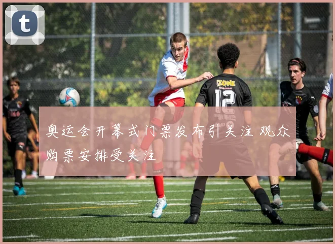 奥运会开幕式门票发布引关注 观众购票安排受关注