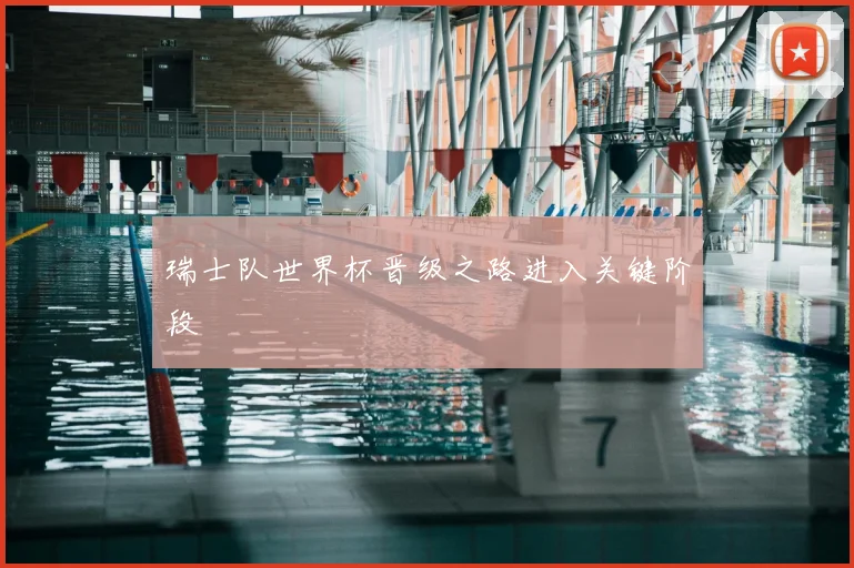 瑞士队世界杯晋级之路进入关键阶段