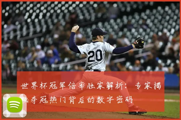 世界杯冠军倍率独家解析:专家揭秘夺冠热门背后的数字密码